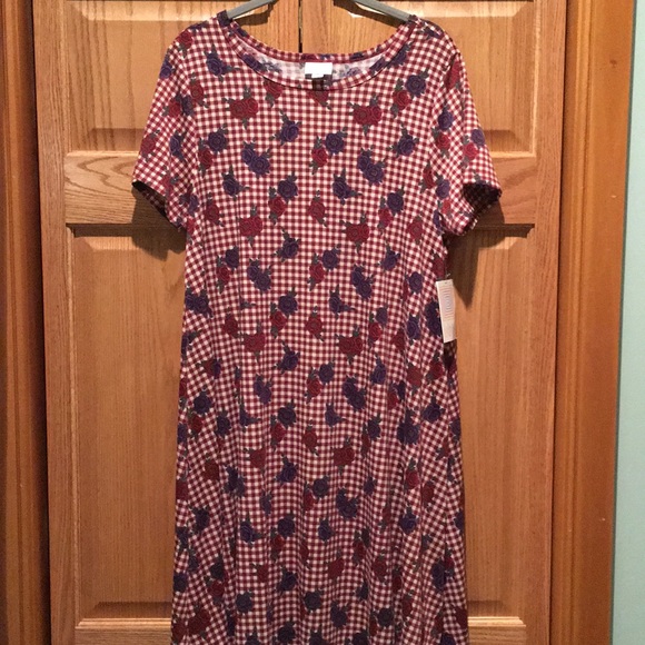 LuLaRoe Carly - Picture 1 of 3